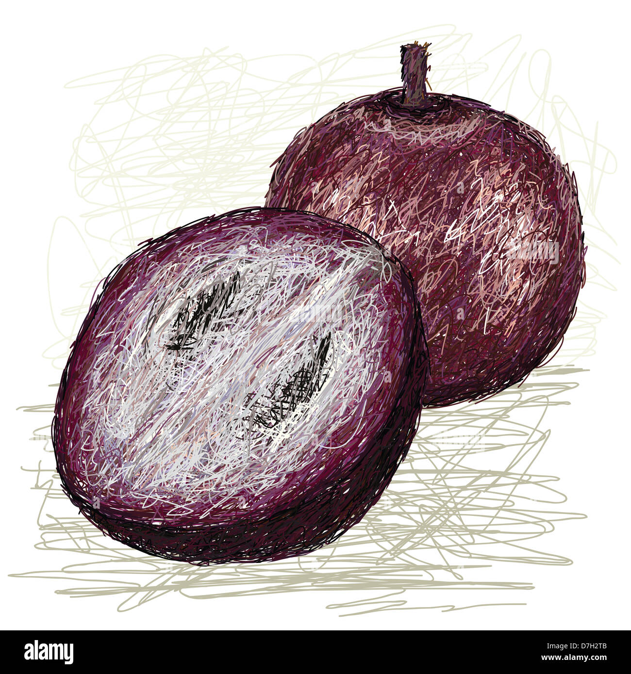 Illustration de poisson frais entier et la moitié star pomme fruit isolé en fond blanc Banque D'Images