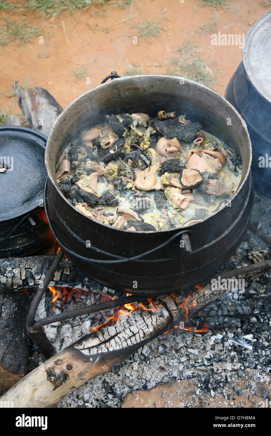 Pot à Feu ouvert Banque D'Images