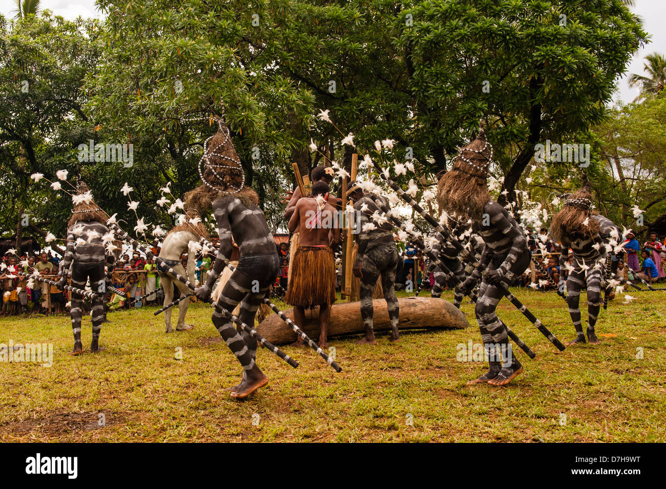 Danseurs serpent divertir, peint comme les serpents de mer, pendant le festival annuel de la culture traditionnelle dans les îles Banks, au nord du Vanuatu Banque D'Images