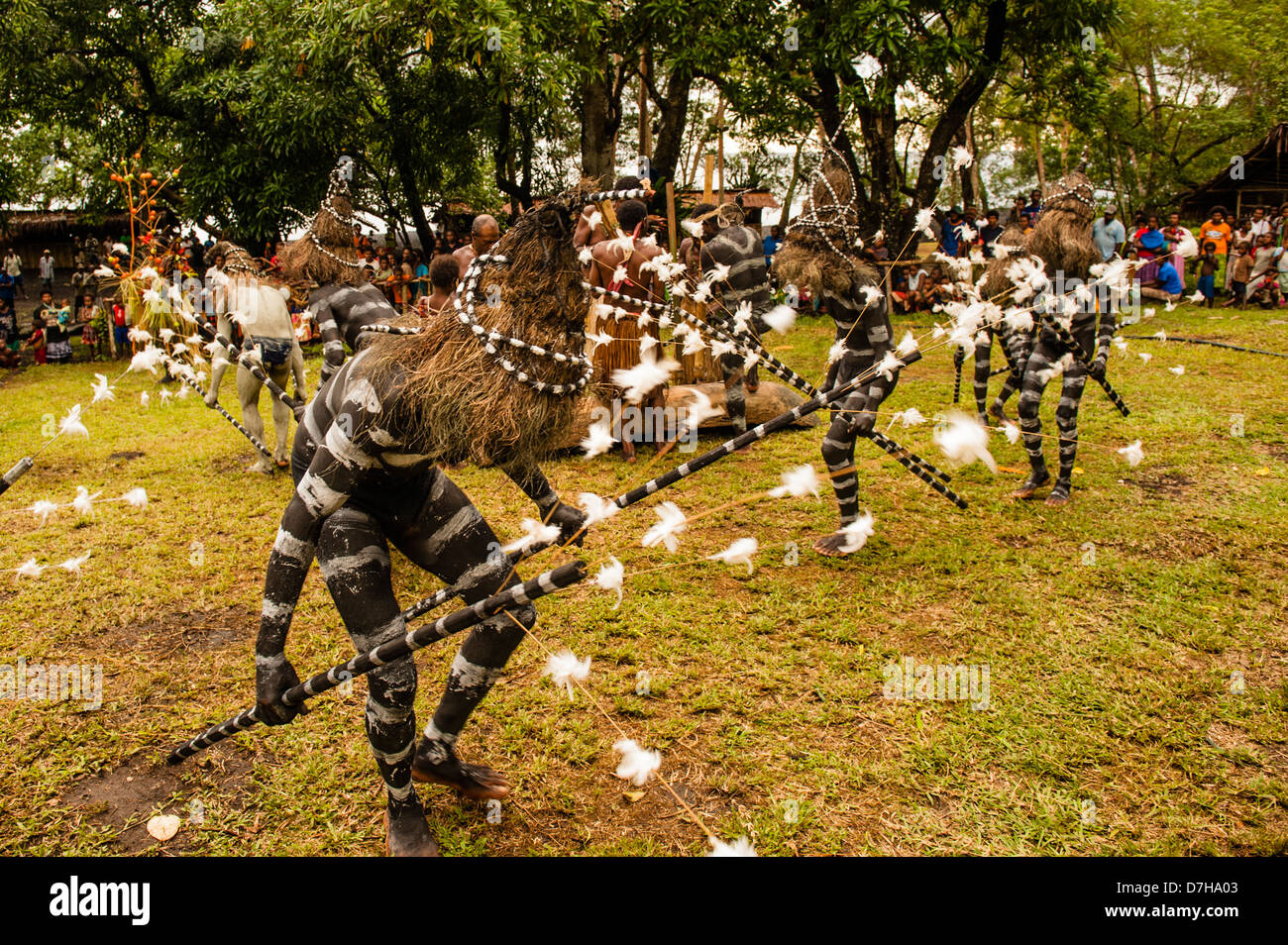 Danseurs serpent divertir, peint comme les serpents de mer, pendant le festival annuel de la culture traditionnelle dans les îles Banks, au nord du Vanuatu Banque D'Images