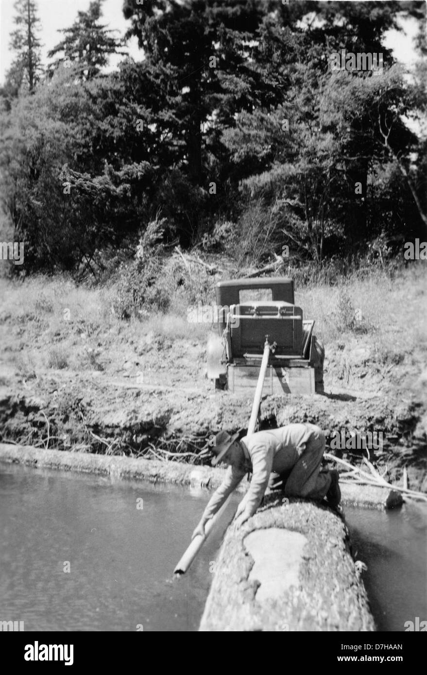 Cette image illustre la libération de poissons marqués dans le cadre du Pacific Northwest Stream Survey. L'enquête vise à suivre les populations de poissons et les schémas de migration dans la région, fournissant des données vitales pour les efforts de conservation dans les écosystèmes d'eau douce. Banque D'Images