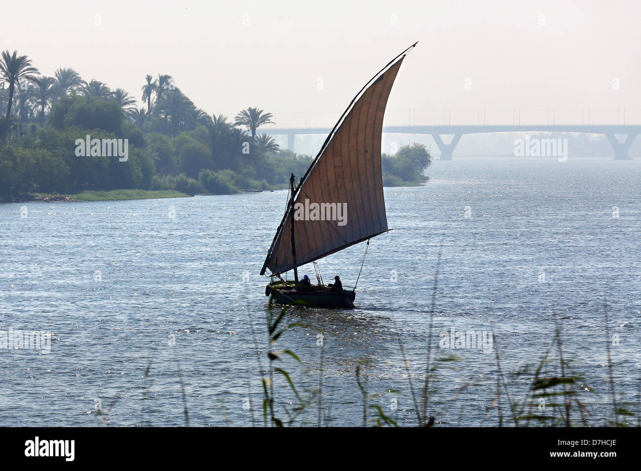 Bateau à voile felouque sur le Nil près d'Assiout, Haute Egypte Banque D'Images