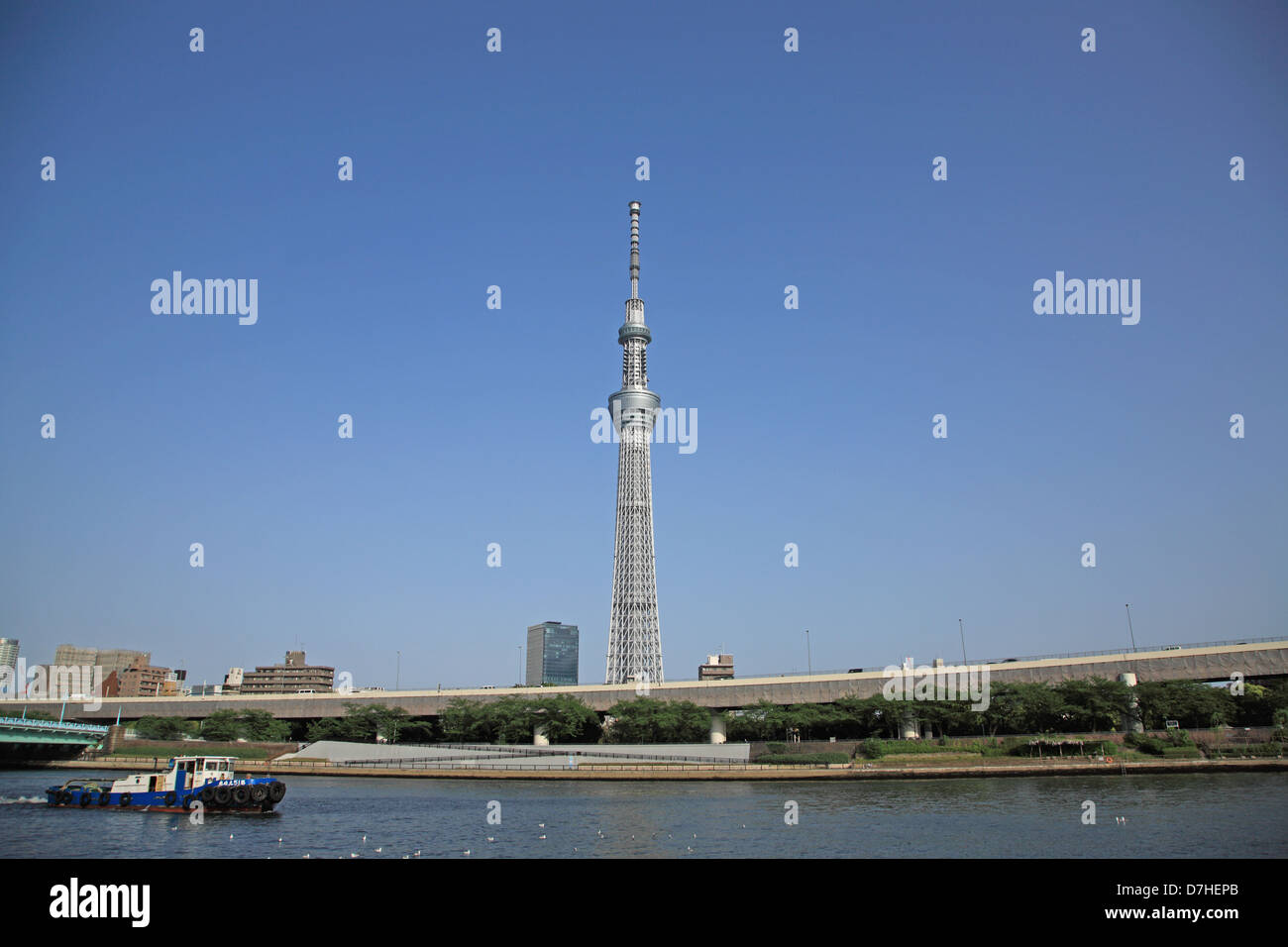 Japon, Tokyo, Sumida-ku, Tokyo Sky Tree (634 m) de la rivière Sumida Banque D'Images