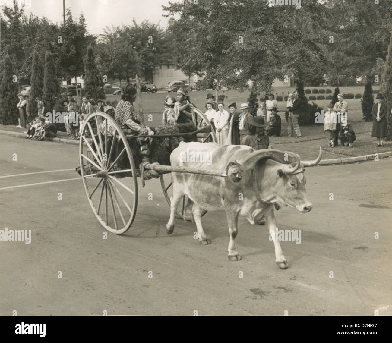 Une image historique représentant les Amérindiens chevauchant dans une charrette à bœufs au début de la parade de ramassage de Pendleton, mettant en valeur les vêtements traditionnels et le patrimoine culturel. Banque D'Images Une image historique représentant les Amérindiens chevauchant dans une charrette à bœufs au début de la parade de ramassage de Pendleton, mettant en valeur les vêtements traditionnels et le patrimoine culturel. Banque D'Images