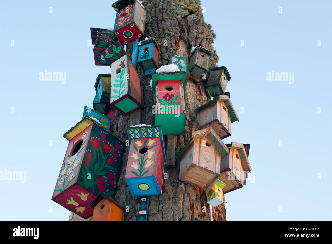 Un arbre décoré avec de nombreuses boîtes d'oiseaux au printemps. Banque D'Images