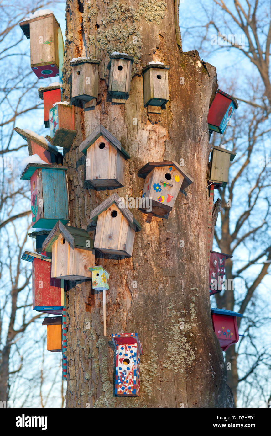 Un arbre décoré avec de nombreuses boîtes d'oiseaux au printemps. Banque D'Images