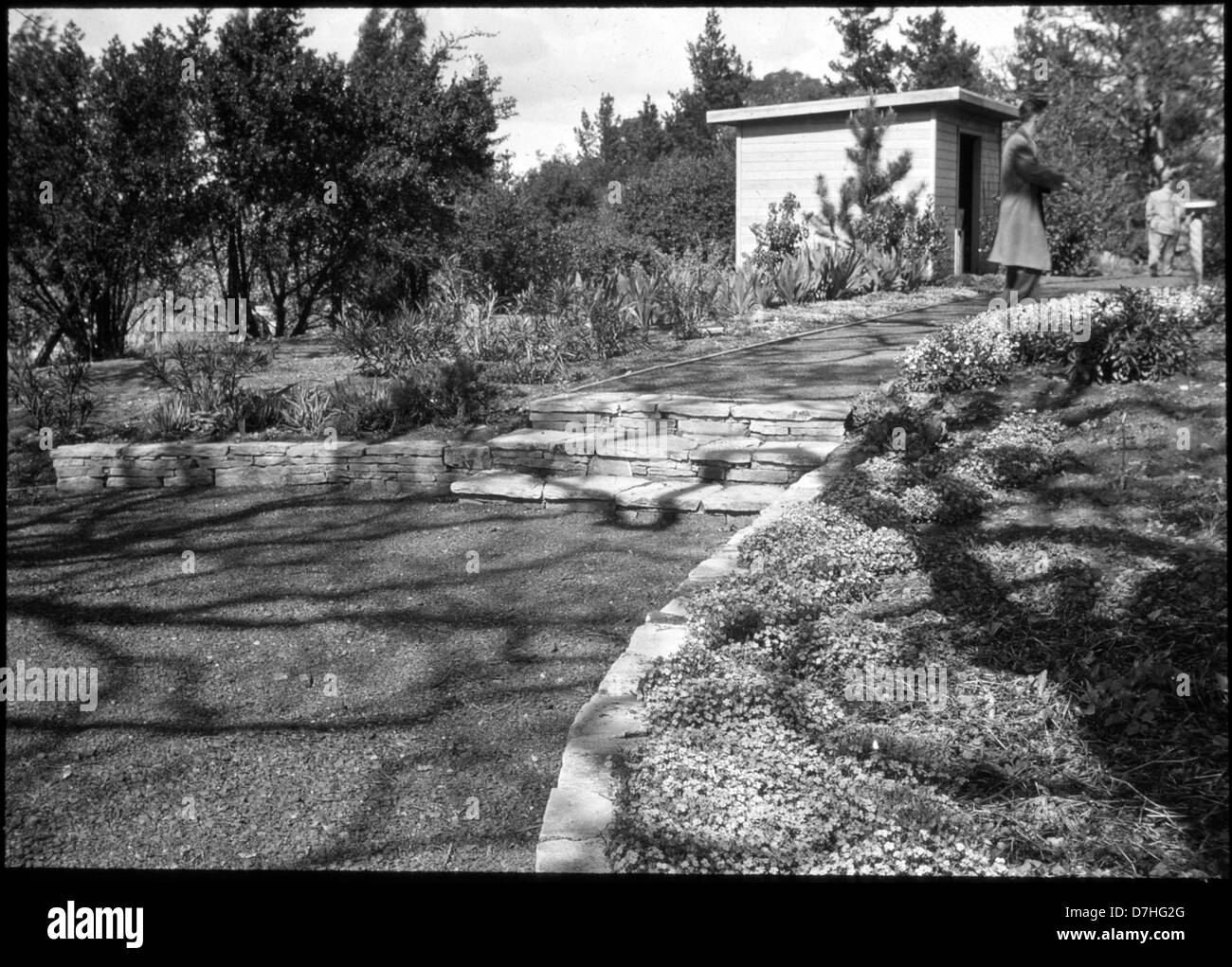 Cette photographie capture un jardin serein, mettant en valeur un chemin arrondi avec des escaliers menant à travers une pelouse baignée de soleil. L'image met en valeur la lumière naturelle et les éléments d'aménagement paysager dans un cadre extérieur paisible. Banque D'Images