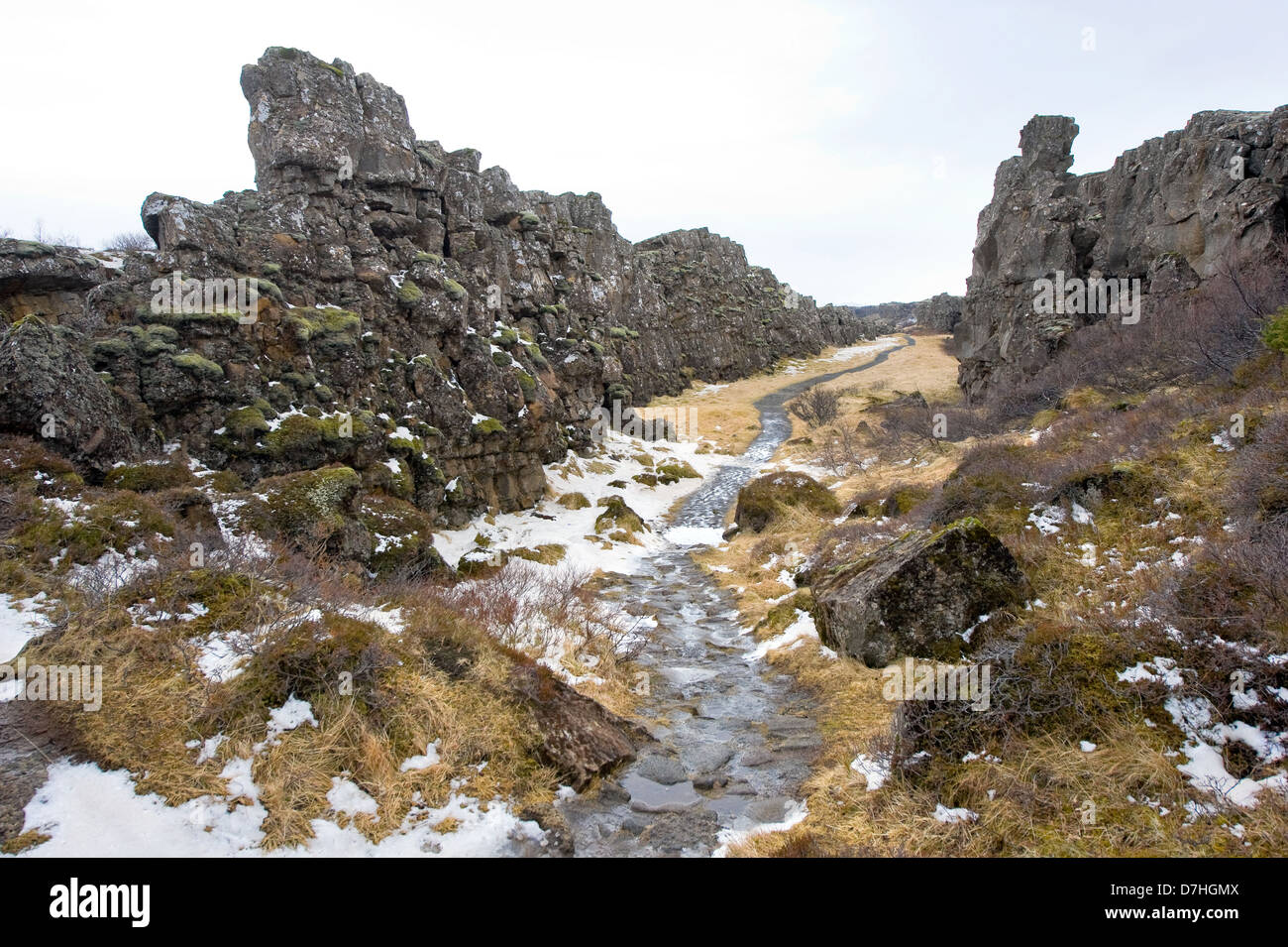 Chemin à travers la vallée de Pingvellir en Islande. La vallée se trouve entre le nord-américain et la Mi'plaques tectoniques. Banque D'Images