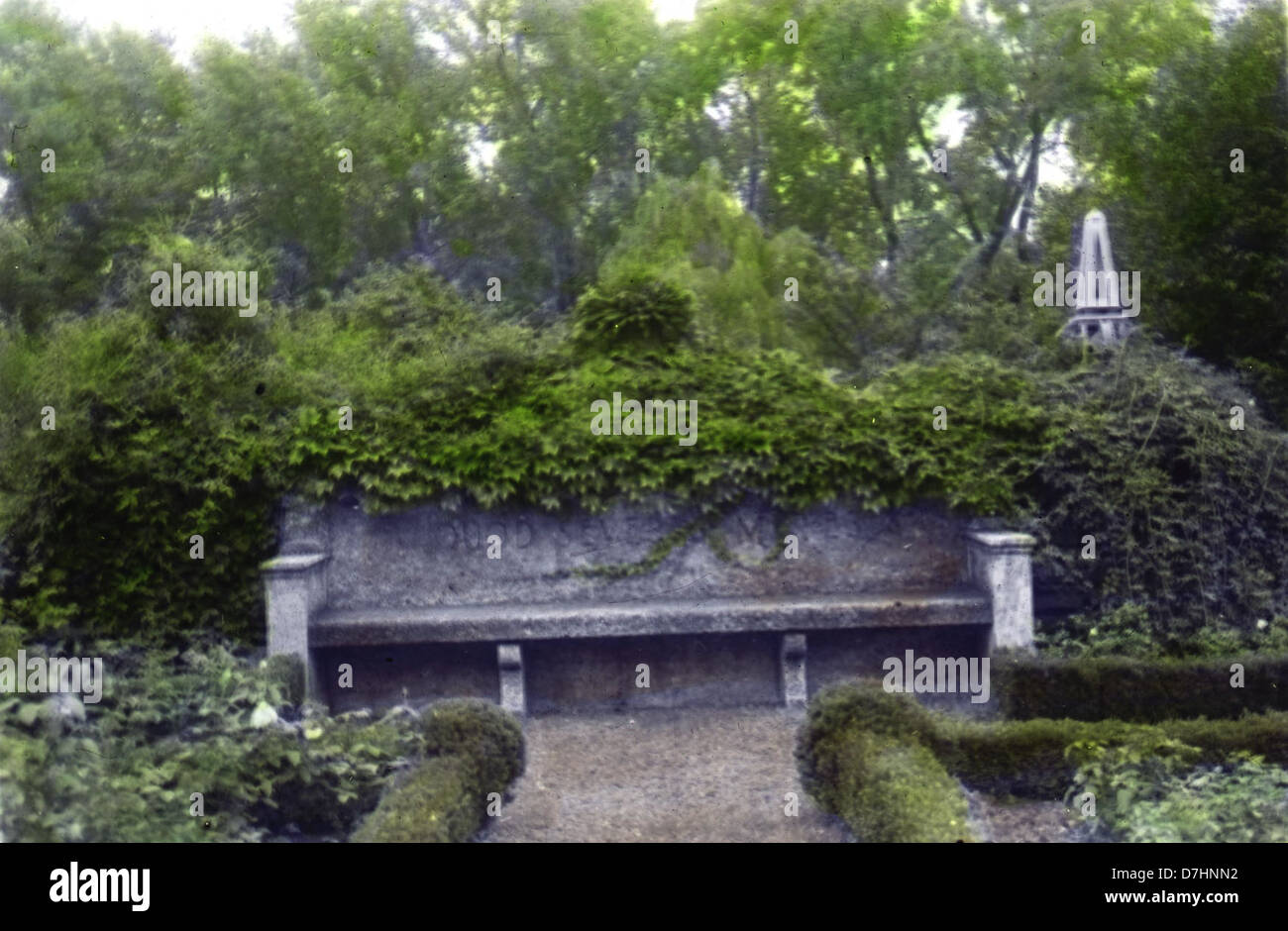 Cette photographie de Dumbarton de 1938 présente des arbres aux couleurs éclatantes et du lierre à côté d'un banc noir et blanc, encapsulant la beauté sereine du paysage naturel et l'ambiance paisible de l'époque. Banque D'Images