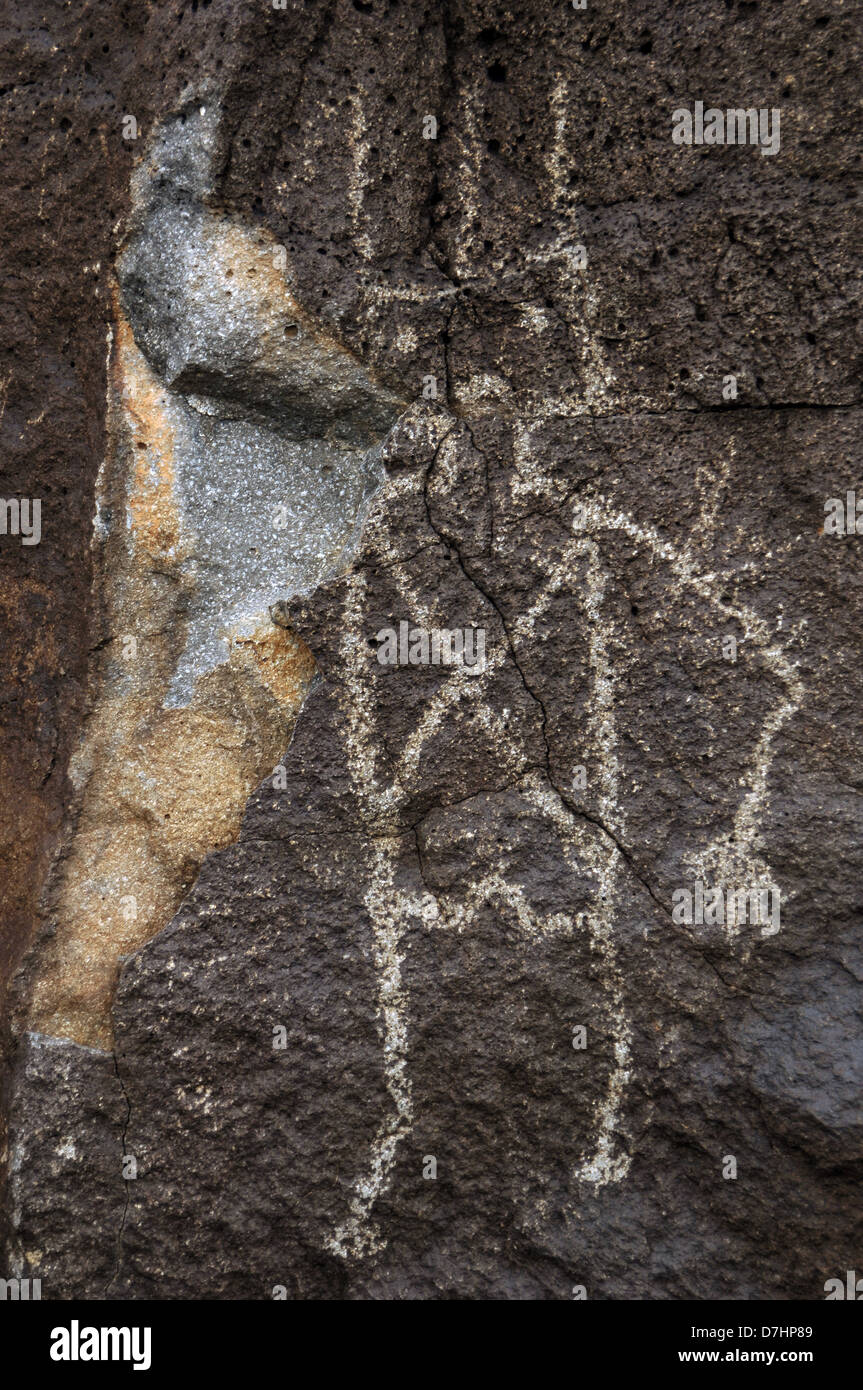 L'art préhistorique USA. Petroglyph National Monument. Boca Negra Canyon. Près de Albuquerque. Le Nouveau Mexique. Banque D'Images