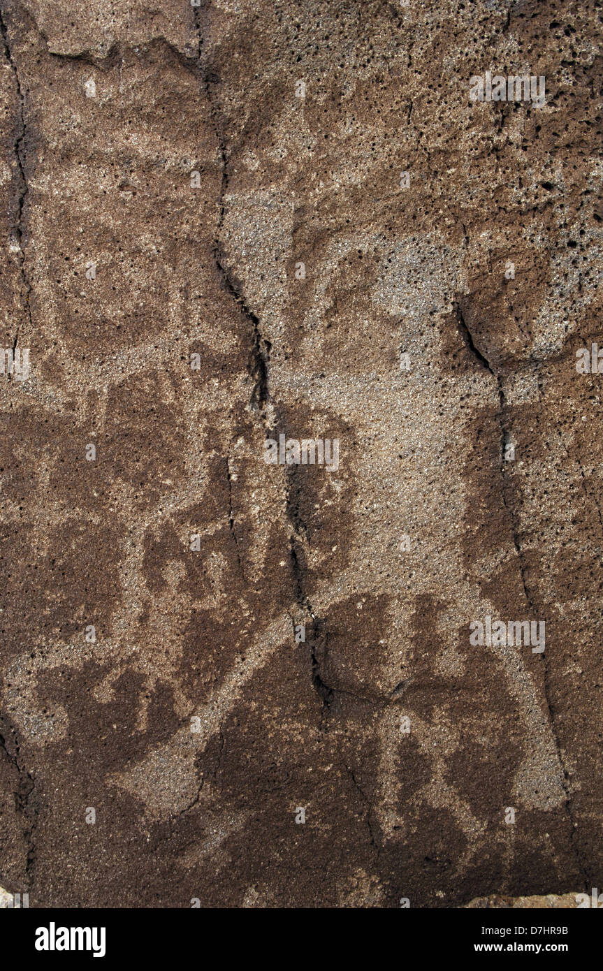 L'art préhistorique USA. Petroglyph National Monument. Boca Negra Canyon. Près de Albuquerque. Le Nouveau Mexique. Banque D'Images