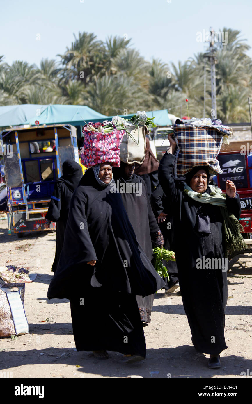 La femme musulmane égyptienne AVEC DES SACS SUR LA TÊTE PRÈS DE ASSOUAN EGYPTE 11 Janvier 2013 Banque D'Images