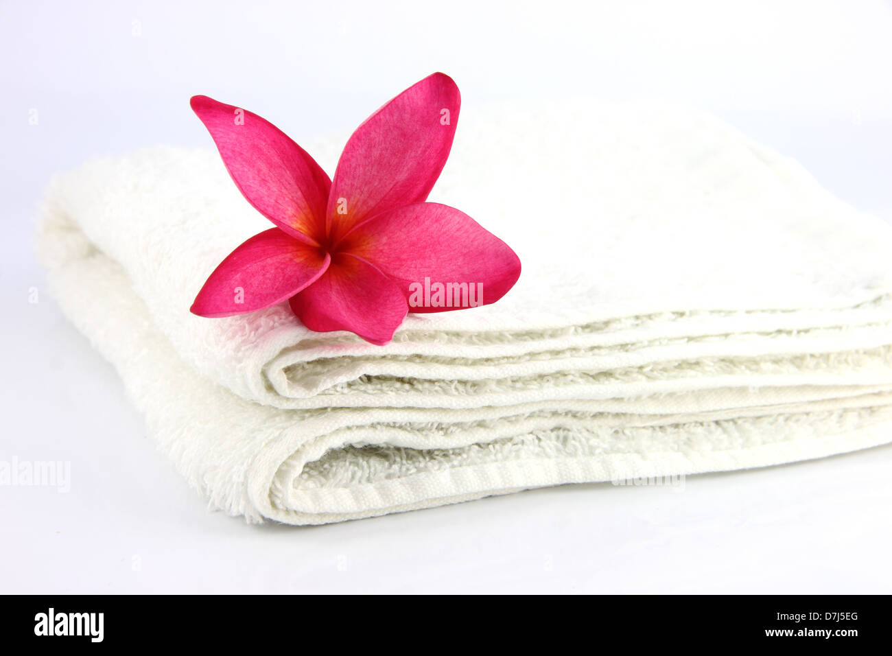 Les fleurs rouges avec une serviette blanche sur fond blanc. Banque D'Images