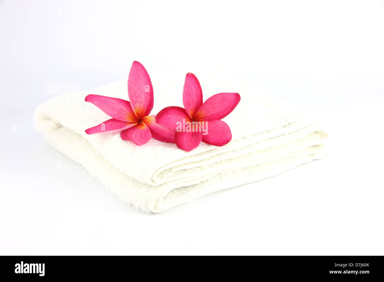 Les fleurs rouges avec une serviette blanche sur fond blanc. Banque D'Images