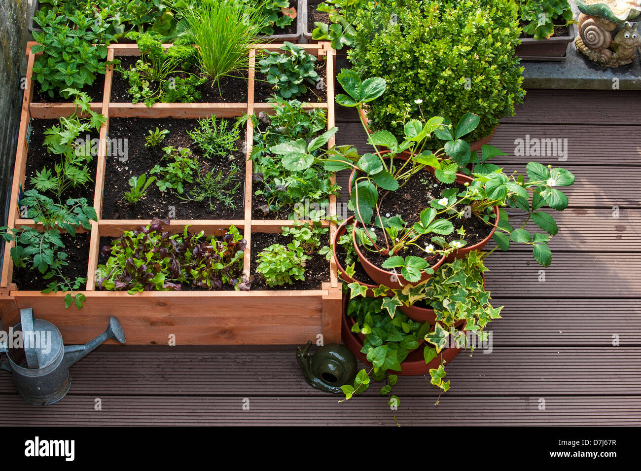 Pied carré par jardinage planter des fleurs, des herbes et des légumes en boîte bois sur balcon Banque D'Images