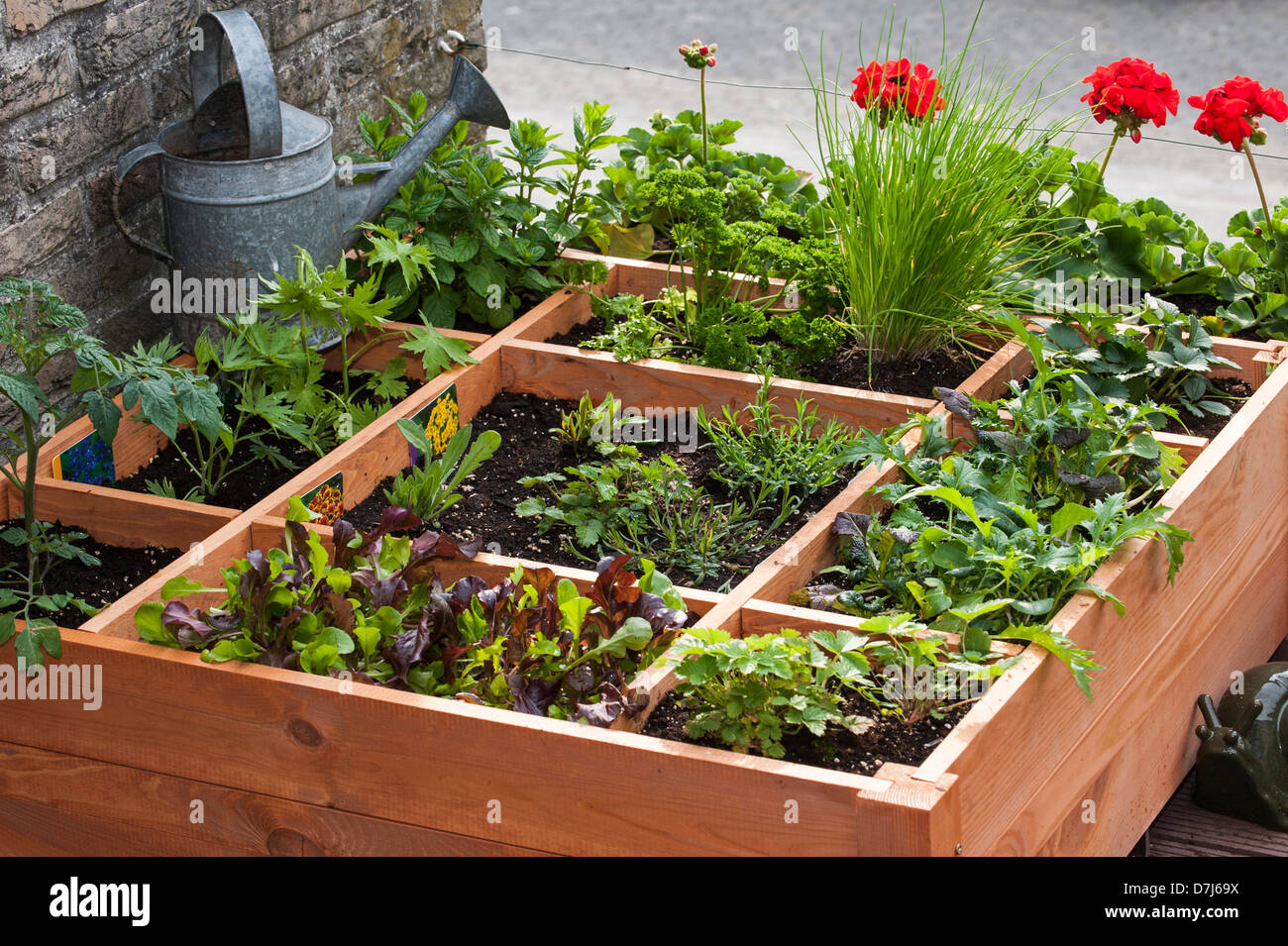 Pied carré par jardinage planter des fleurs, des herbes et des légumes en boîte bois sur balcon Banque D'Images