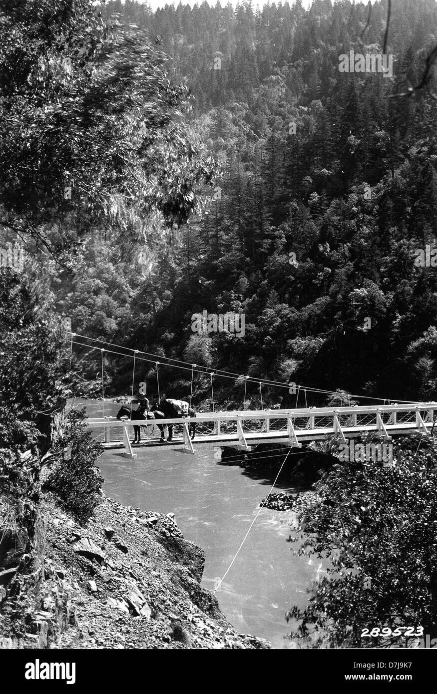 Fin du sentier du pont sur le Rogue River, près de China Gulch, la Forêt Nationale Siskiyou Banque D'Images