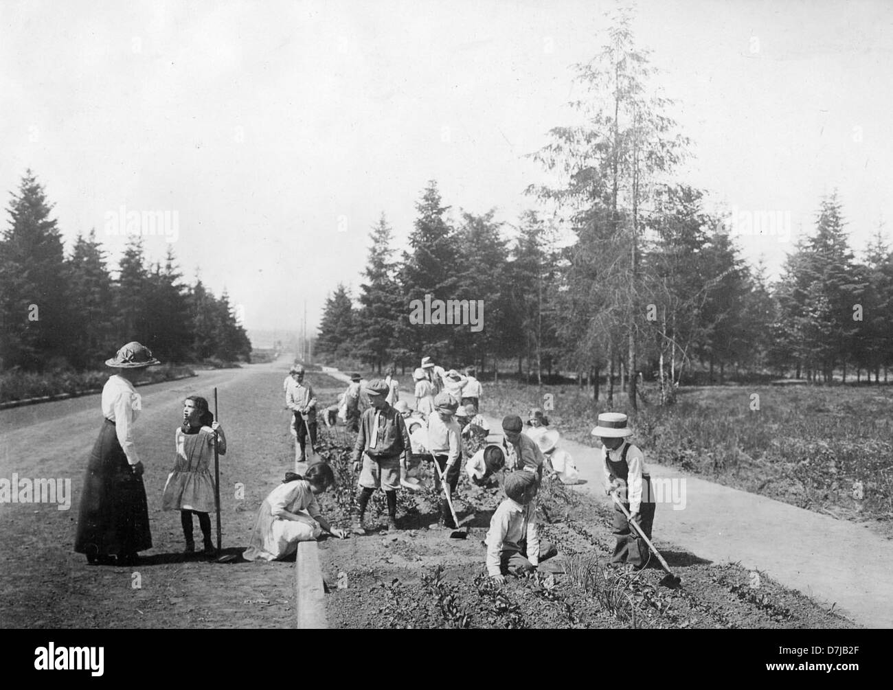 La photographie de 1914 parcelles de jardin Portland illustre le jardinage communautaire au début du XXe siècle. Ces parcelles reflètent l’accent mis par l’époque sur l’autosuffisance et les pratiques agricoles urbaines. Banque D'Images