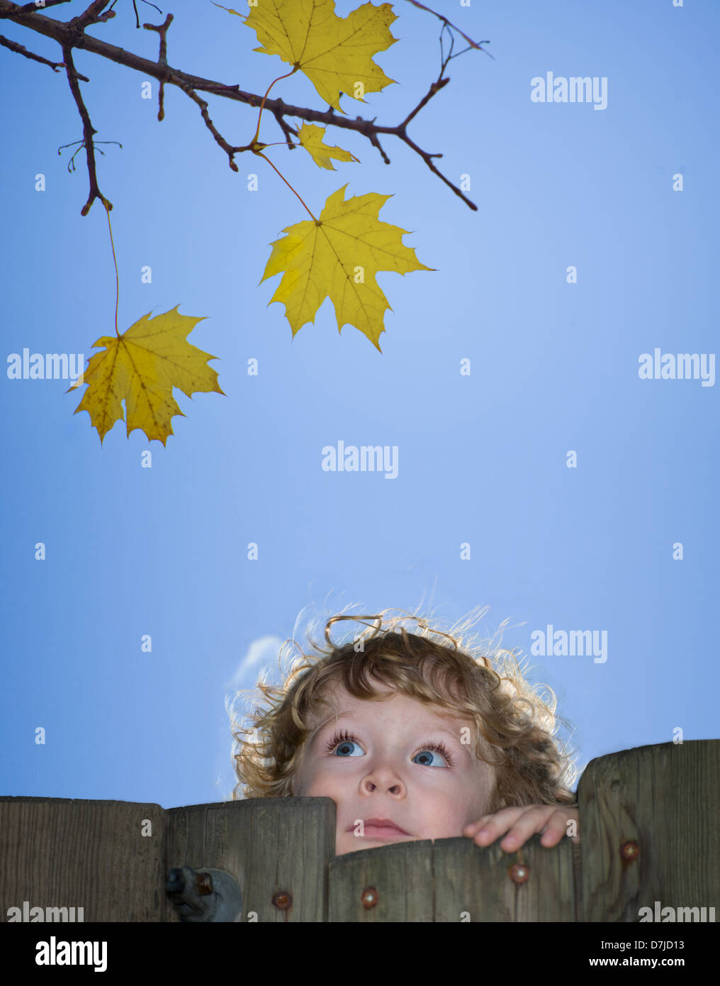 Cute toddler contre ciel bleu avec le soleil dans les cheveux voletant à jusqu'à feuilles jaunes Banque D'Images