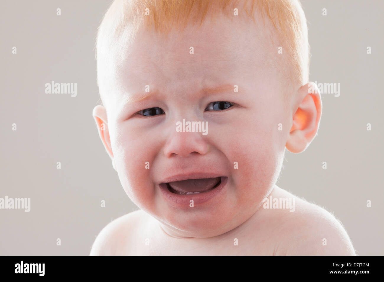Studio shot portrait of crying baby boy (18-23 mois) Banque D'Images