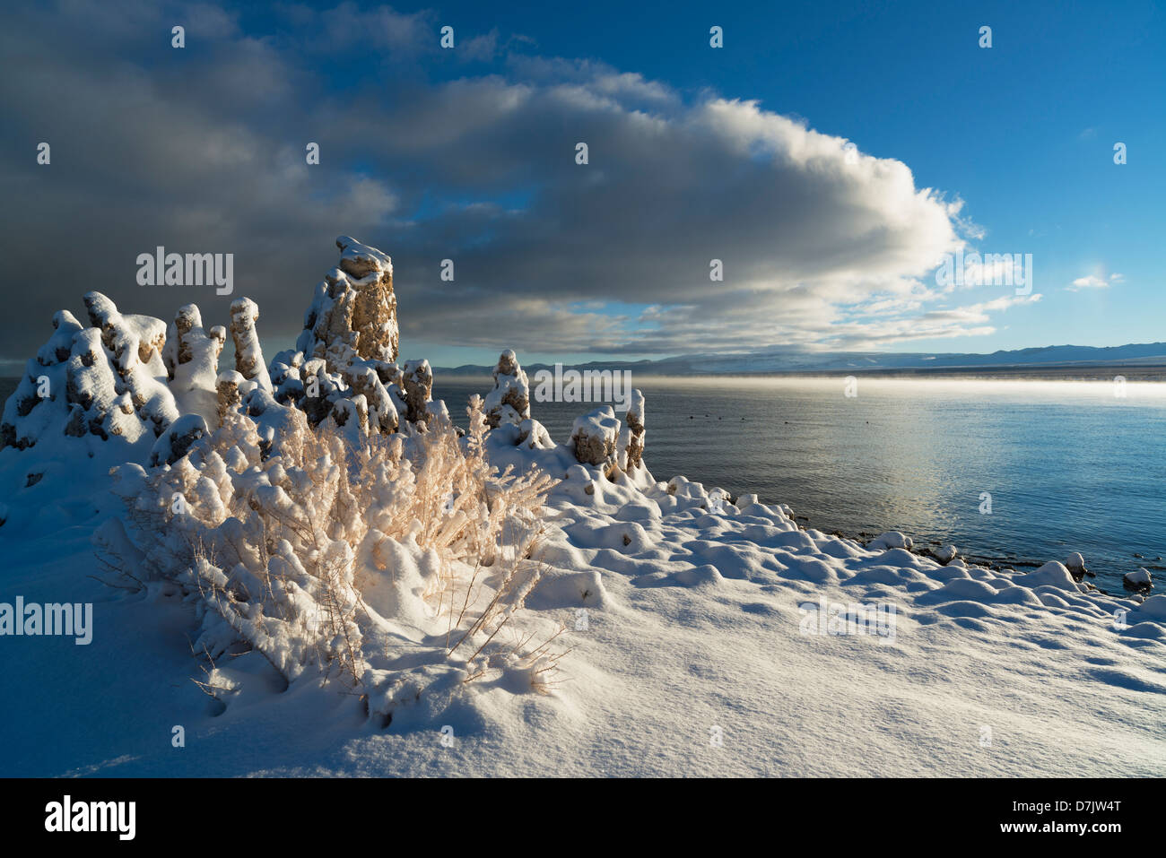 États-unis, Californie, Mono Lake, scène idyllique Banque D'Images