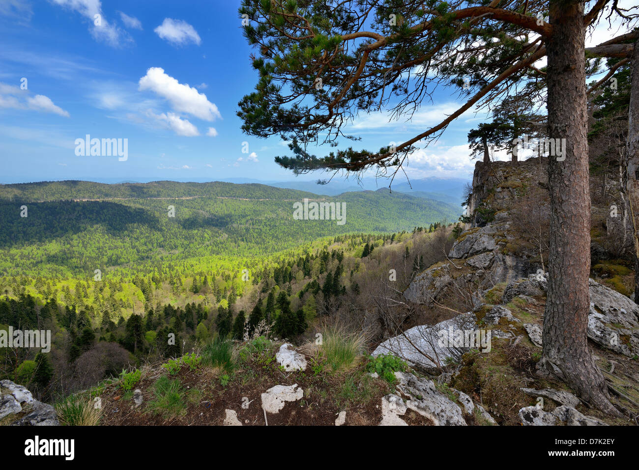 La Russie. Plateau de Lagonaki. Adygea. Montagne au début du printemps Banque D'Images