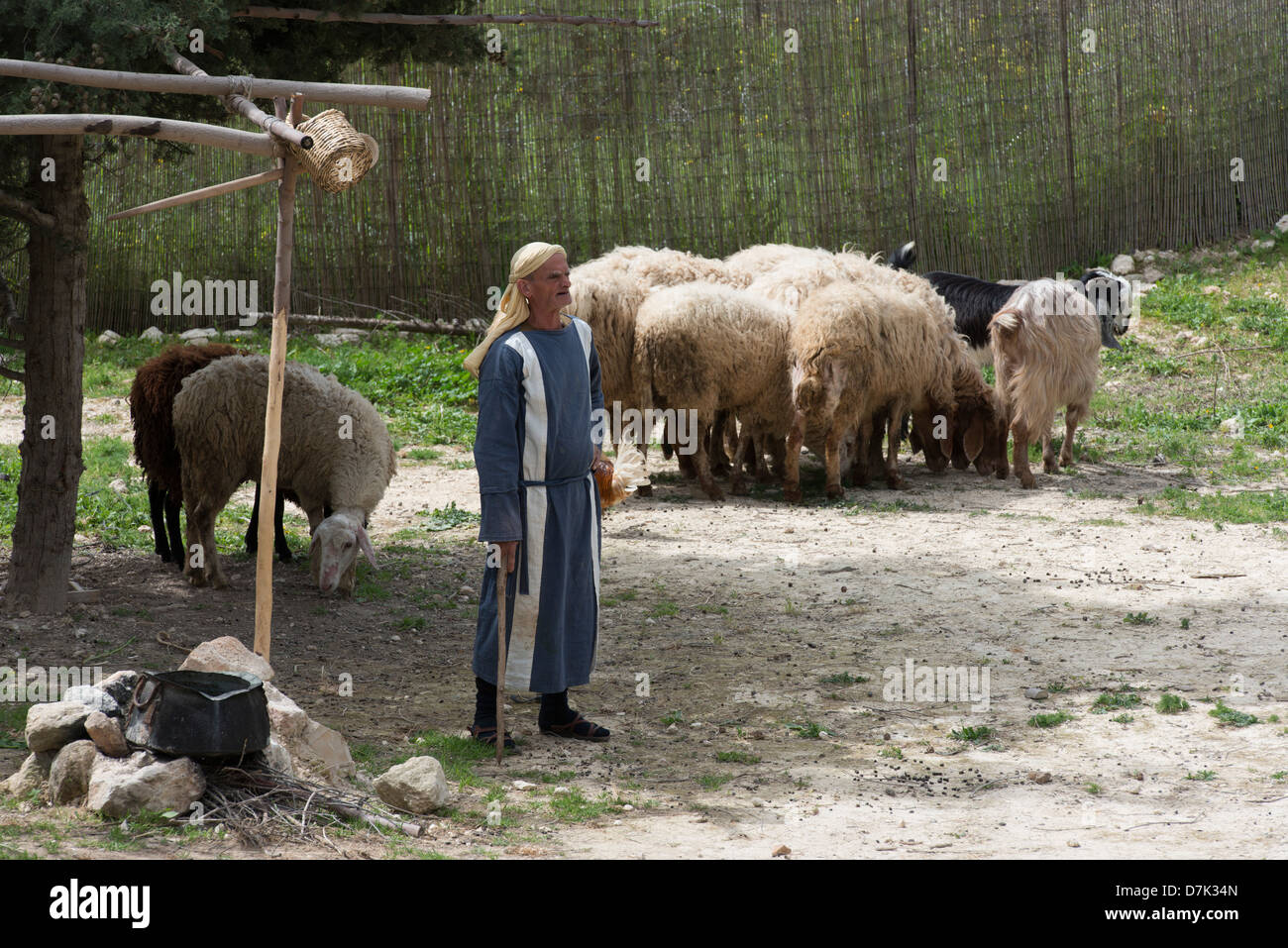 Berger avec moutons et chèvres à la reconstruction d'un premier siècle village israélien à Nazareth Banque D'Images