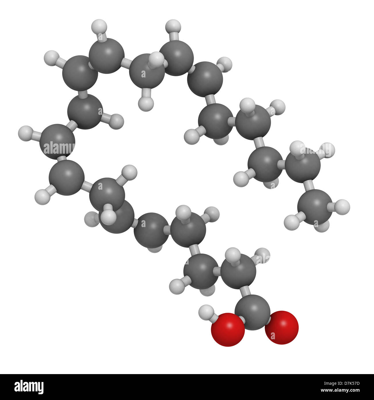 L'acide arachidonique (AA, ARA) acides gras polyinsaturés oméga-6, le modèle moléculaire. Les atomes sont représentés comme des sphères. Banque D'Images