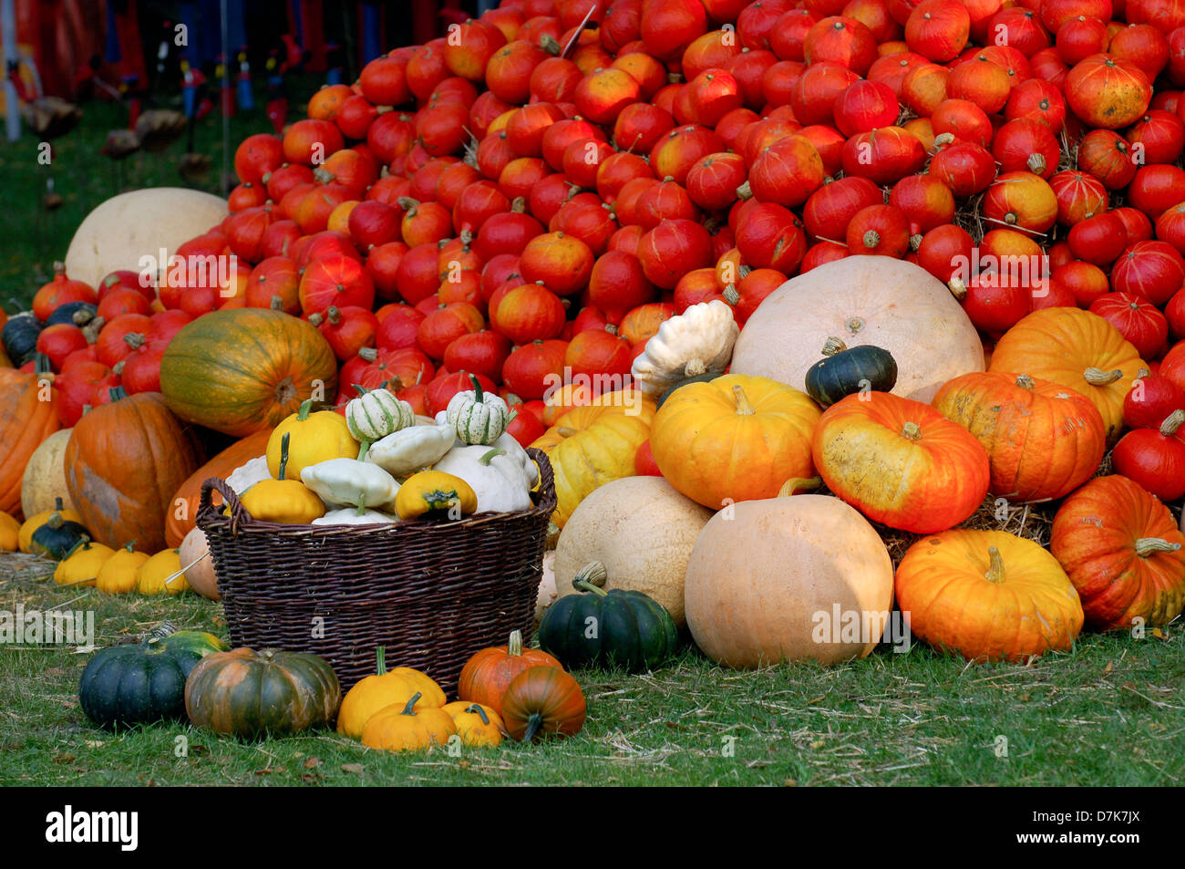 La vie encore l'automne, les fruits, les légumes, les citrouilles, des bottes de paille Banque D'Images