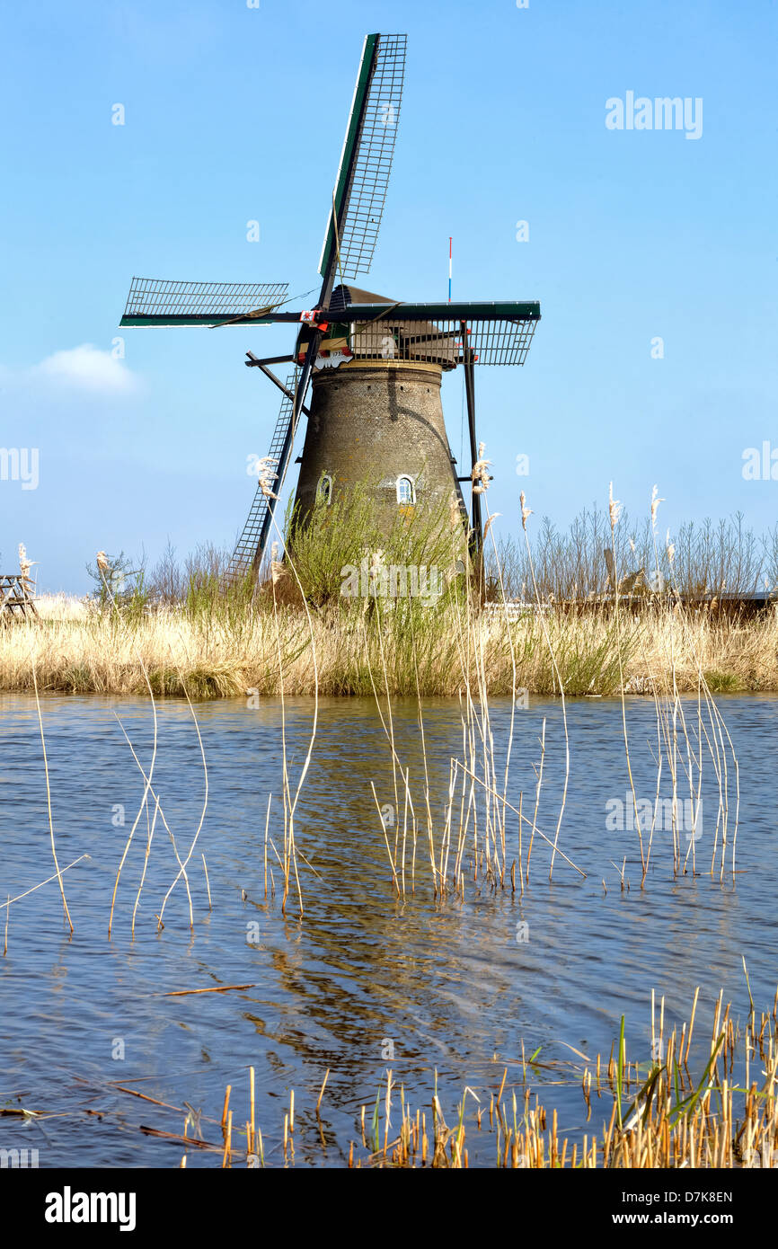 Kinderdijk, Moolenwaard, Hollande méridionale, Pays-Bas Banque D'Images