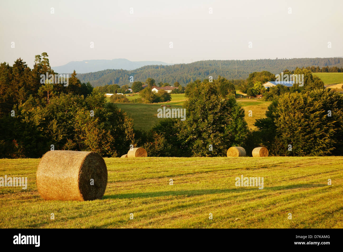 Allemagne, Baden Wuerttemberg, Villingen-schwenningen, vue sur scène rurale Banque D'Images