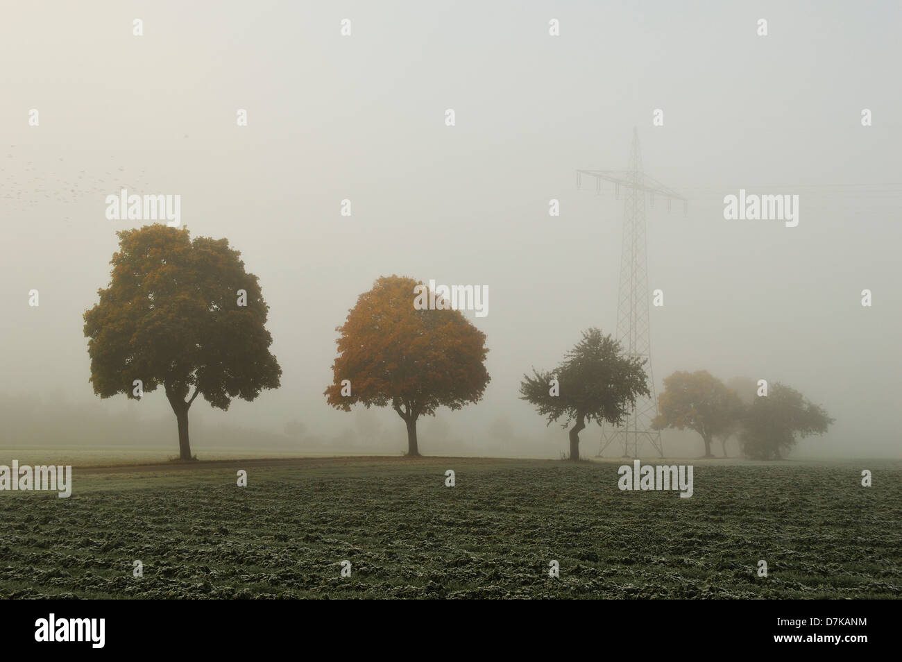 Allemagne, Baden Wuerttemberg, Villingen-schwenningen, vue sur scène rurale à l'automne Banque D'Images