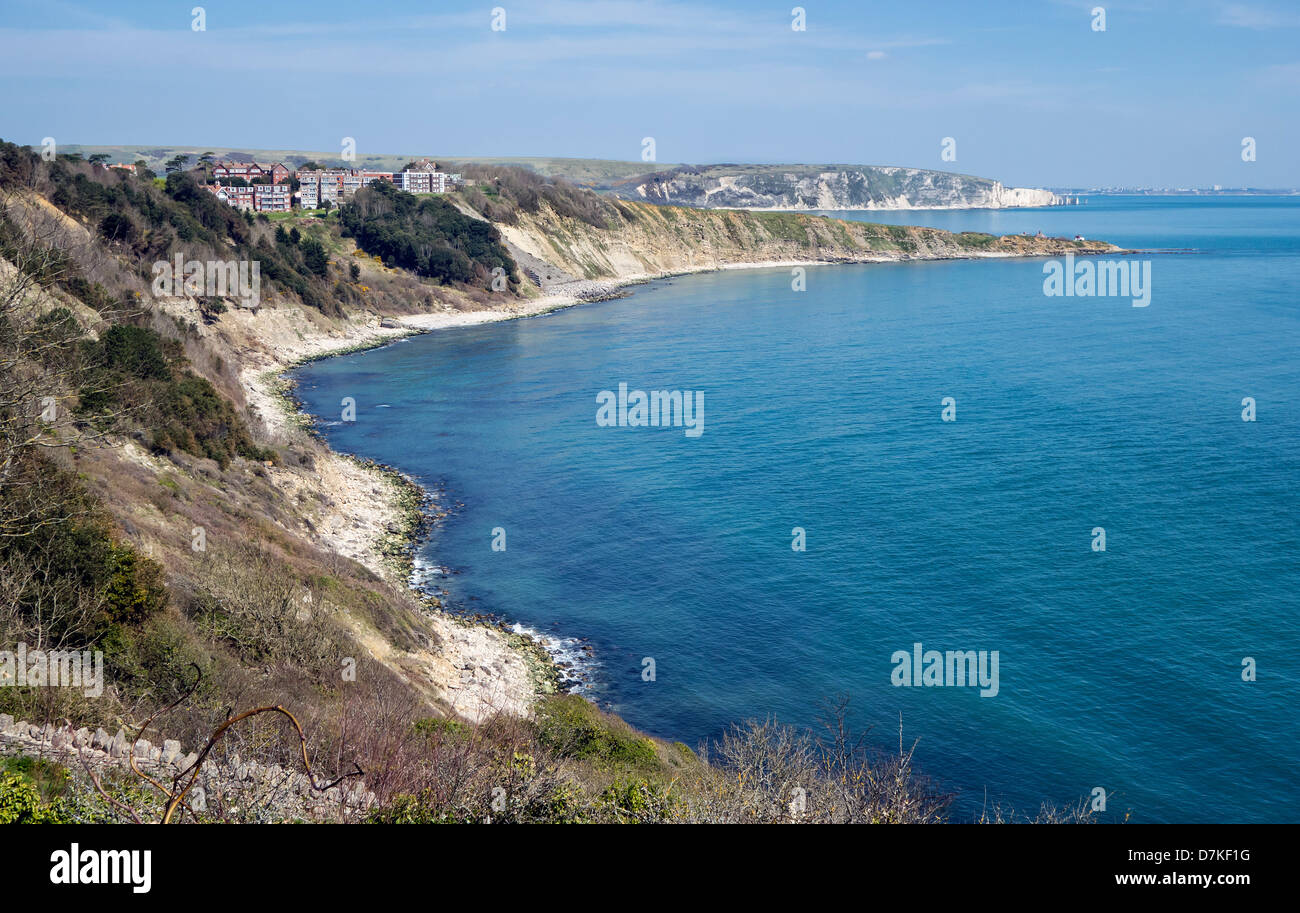 La baie de Durlston, falaises, Point de Peveril, Ballard vers le bas, l'avant-pays, de tête de Durlston, Dorset, England, UK. L'Europe Banque D'Images