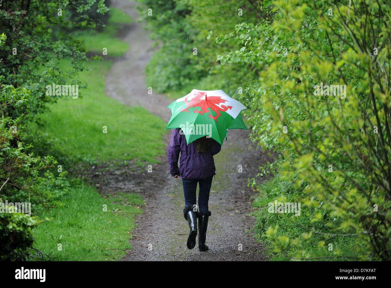Cardiff, Wales, UK. Le 9 mai 2013. Une fille utilise un parapluie pour l'abri de la pluie en Rhiwbina, Cardiff. Plus le temps humide a été prévu pour la fin de semaine. Crédit : Matthieu Horwood /Alamy Live News Banque D'Images