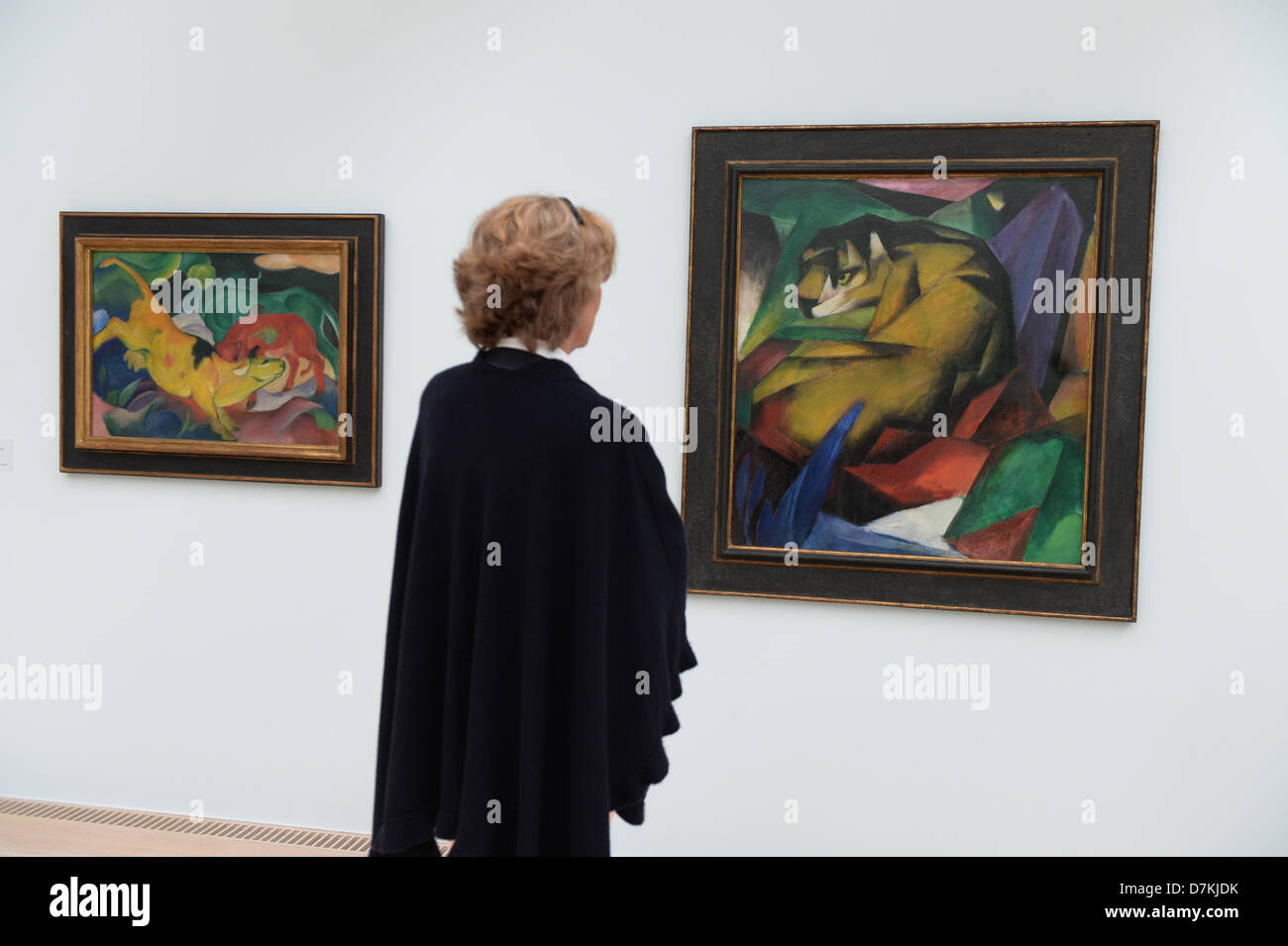 Les gens regardent la peinture 'Tiger' (R) par Franz Marc dans le nouveau Lenbachhaus à Munich, Allemagne, 06 mai 2013. La Lenbachhaus ouvre au public le 08 mai, après des travaux de rénovation ont été achevés. Photo : FELIX HOERHAGER Banque D'Images