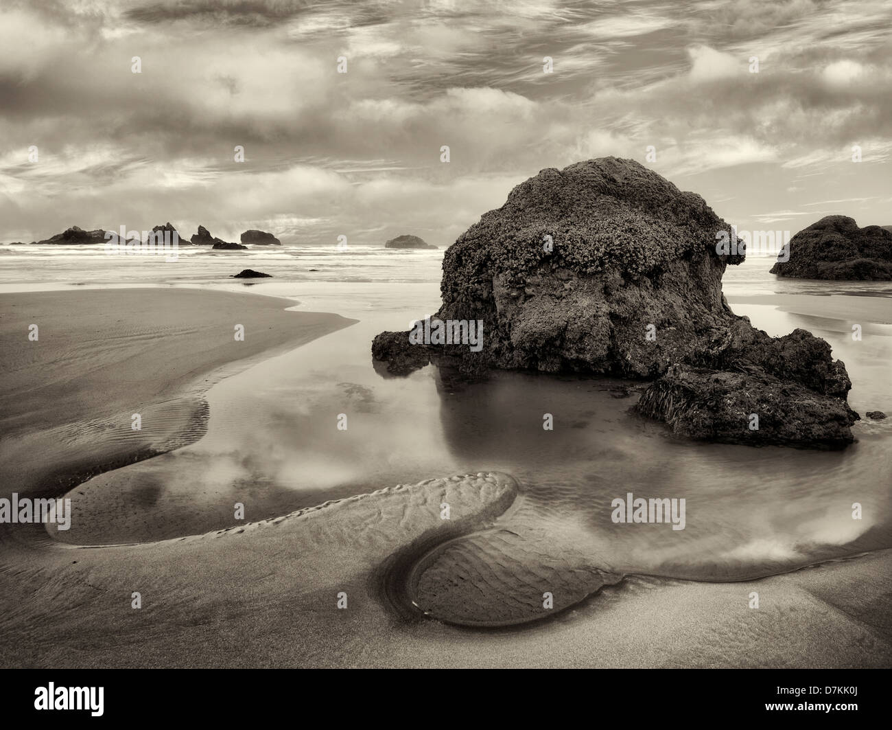 Marée basse extérieure avec étoile de mer et le coucher du soleil. Bandon, Oregon. Banque D'Images