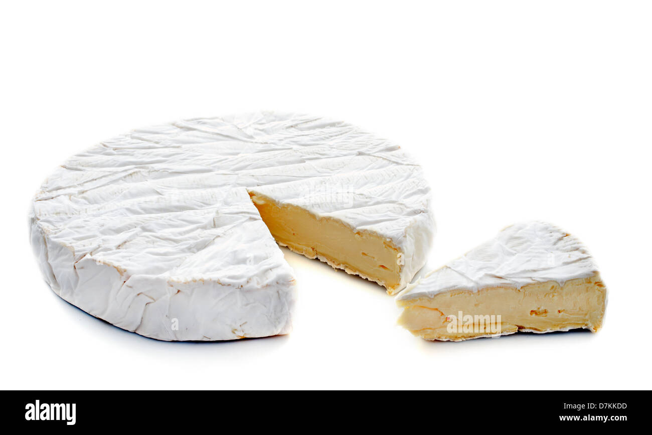 Fromage brie in front of white background Banque D'Images