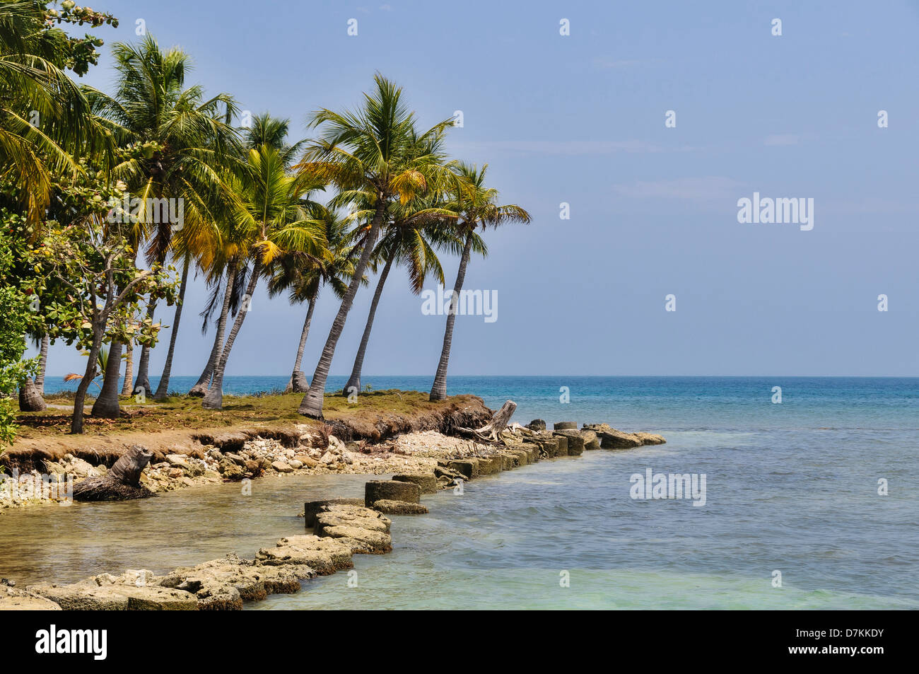 La Colombie, les îles de San Bernardo. Palmiers au bord de l'Atlantique. Banque D'Images