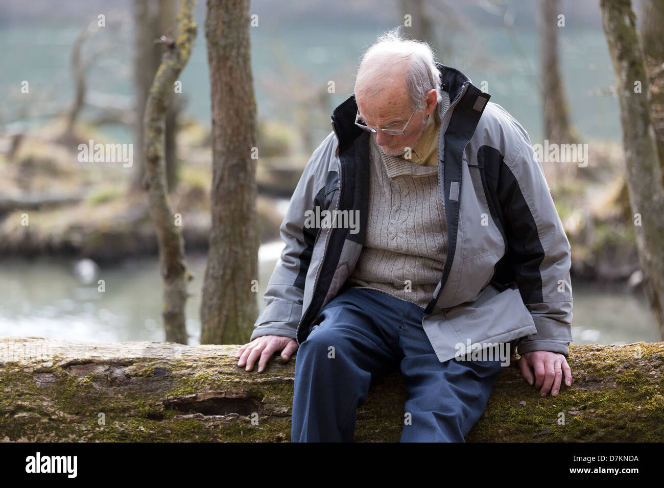 Pensive senior man sitting on trre trunk dans la nature Banque D'Images