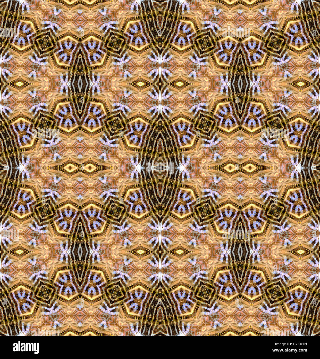 Motif répétitif fait à partir de l'image de Clipper Les papillons (Parthenos sylvia ailes) Banque D'Images