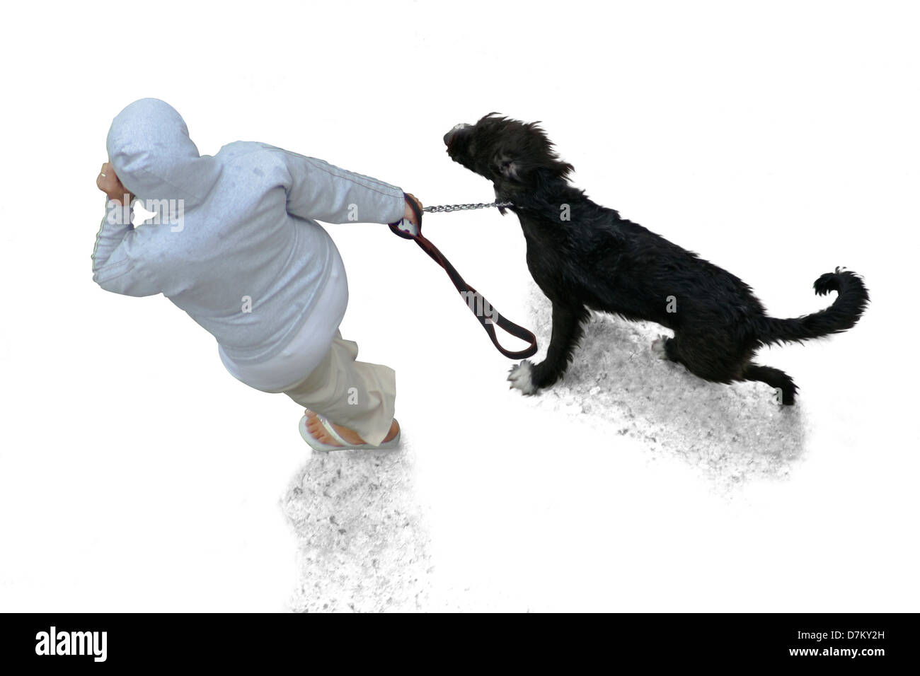 Woman walking with dog on white background Banque D'Images