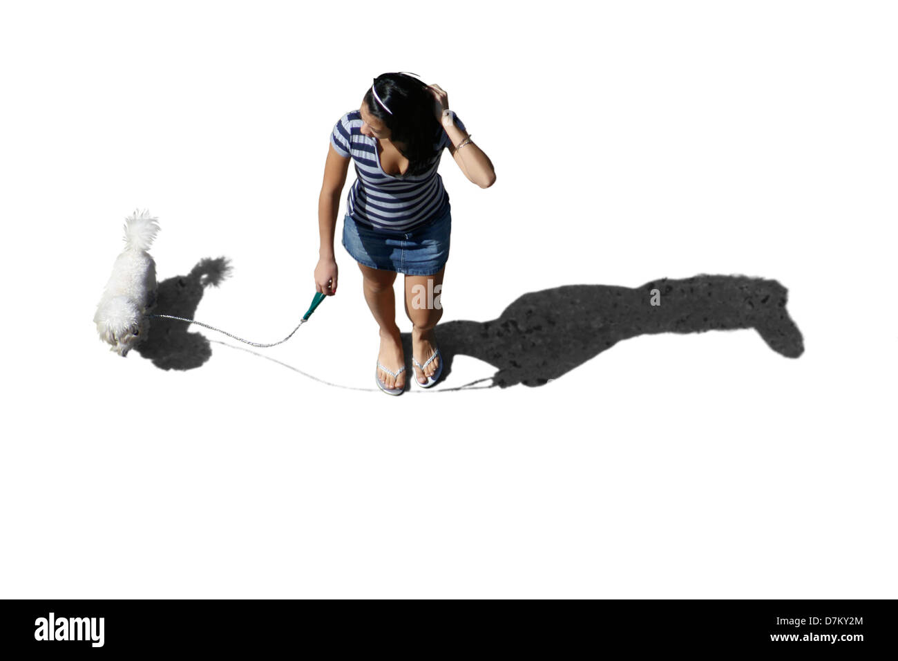 Woman walking with dog on white background Banque D'Images