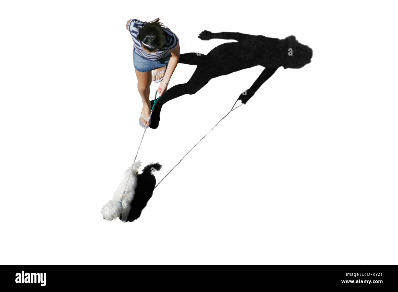 Woman walking with dog on white background Banque D'Images