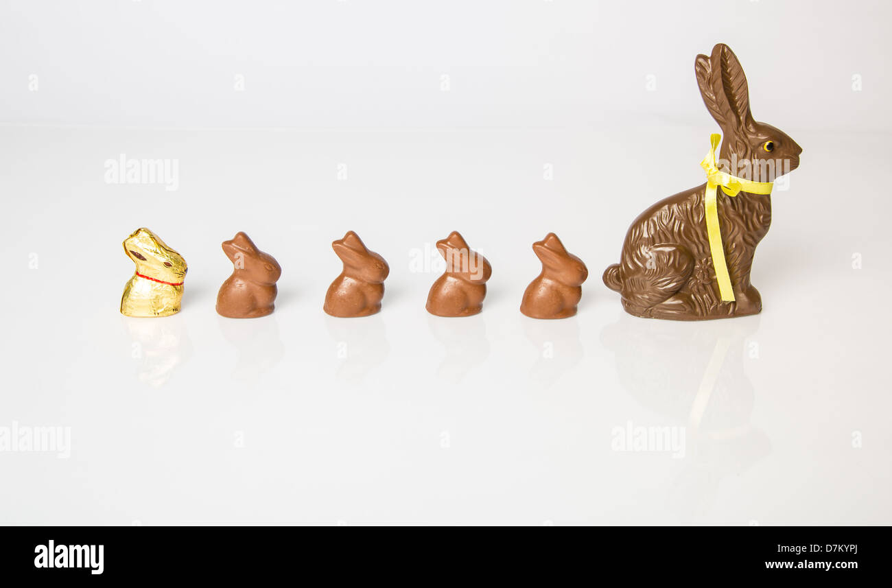 Grand lapin de Pâques en chocolat avec des petits lapins en chocolat alignés dans une rangée. Studio isolé sur blanc avec réflexion. Partie d'une série. Banque D'Images