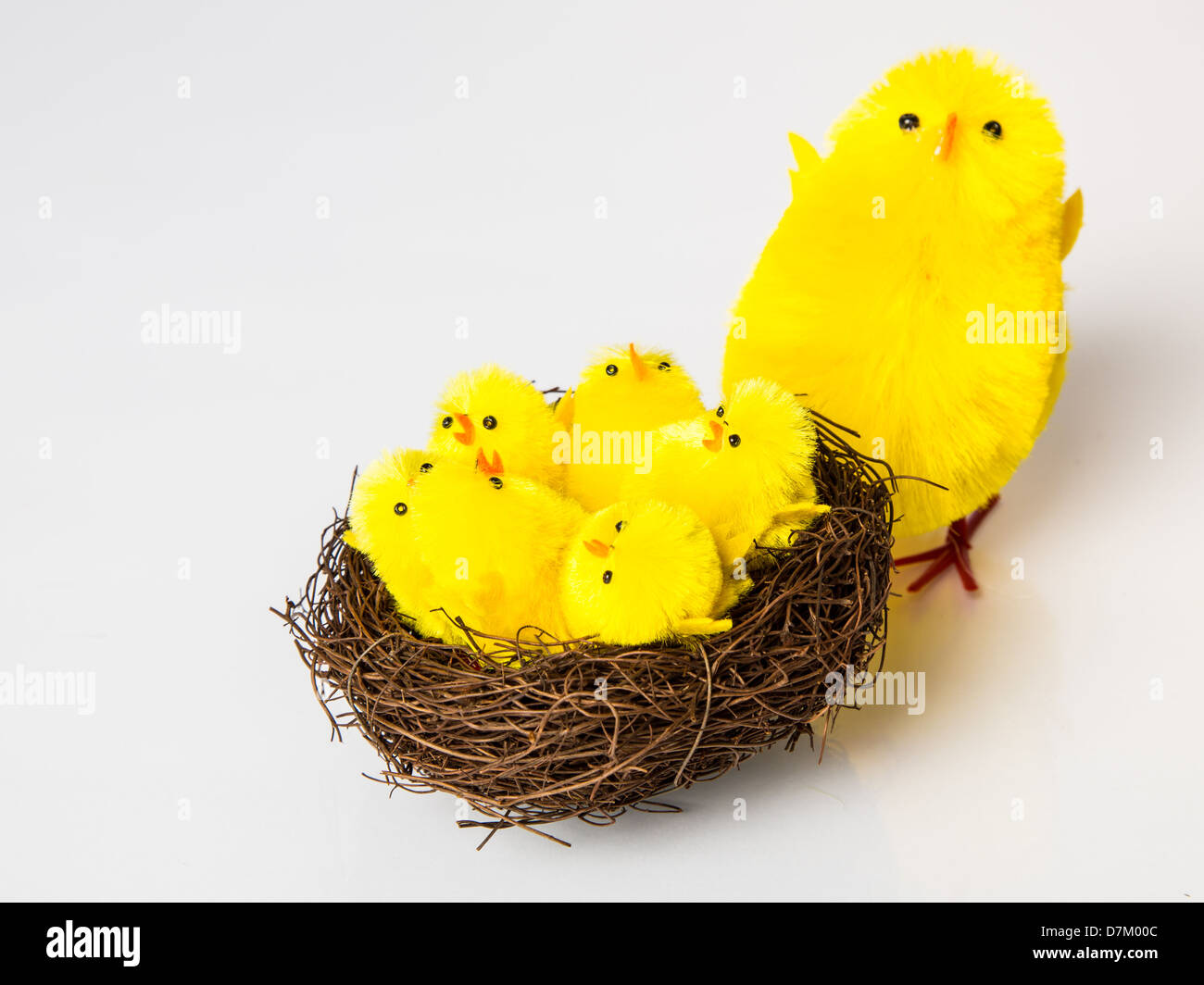 Un certain nombre de de poussin de Pâques dans un nid d'oiseau avec un grand chick présents. Studio isolé sur blanc. Banque D'Images