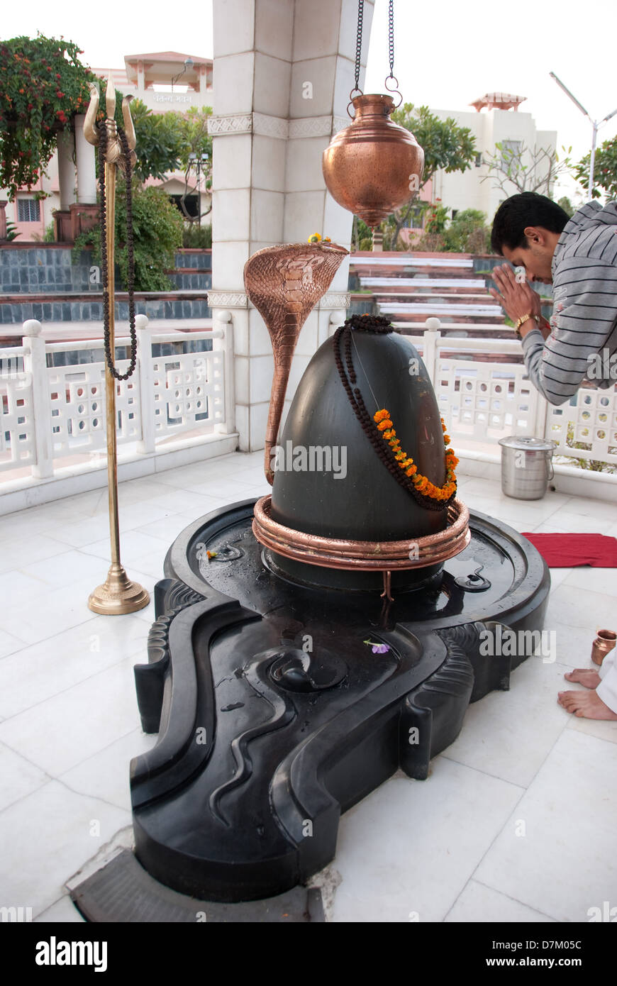 Fervent hommage à un culte qui inclut un cobra cuivre enroulé autour d'un vénéré shivling associés à Seigneur Shiva. Le Seigneur Shiva est représenté avec un cobra enroulé autour de son cou et a été vénéré par des millions d'Hindous depuis des siècles, et encore aujourd'hui beaucoup d'Hindous rechercher Saperas afin qu'ils puissent rendre hommage à vivre les cobras. Banque D'Images