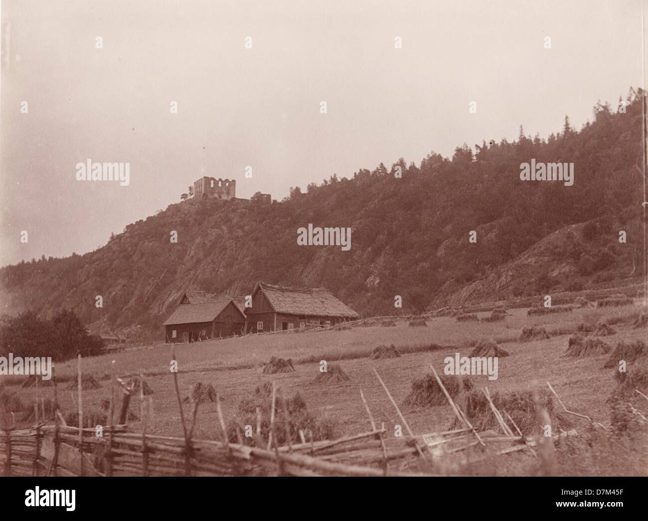 Une vue des champs de foin récoltés avec le château de Brahehus au loin à Gränna, Suède. Le château, datant du XVIIe siècle, est un symbole de la riche histoire de la Suède. Cette image fait partie de la collection du Conseil du patrimoine national suédois, qui présente l'histoire agricole et architecturale suédoise. Banque D'Images