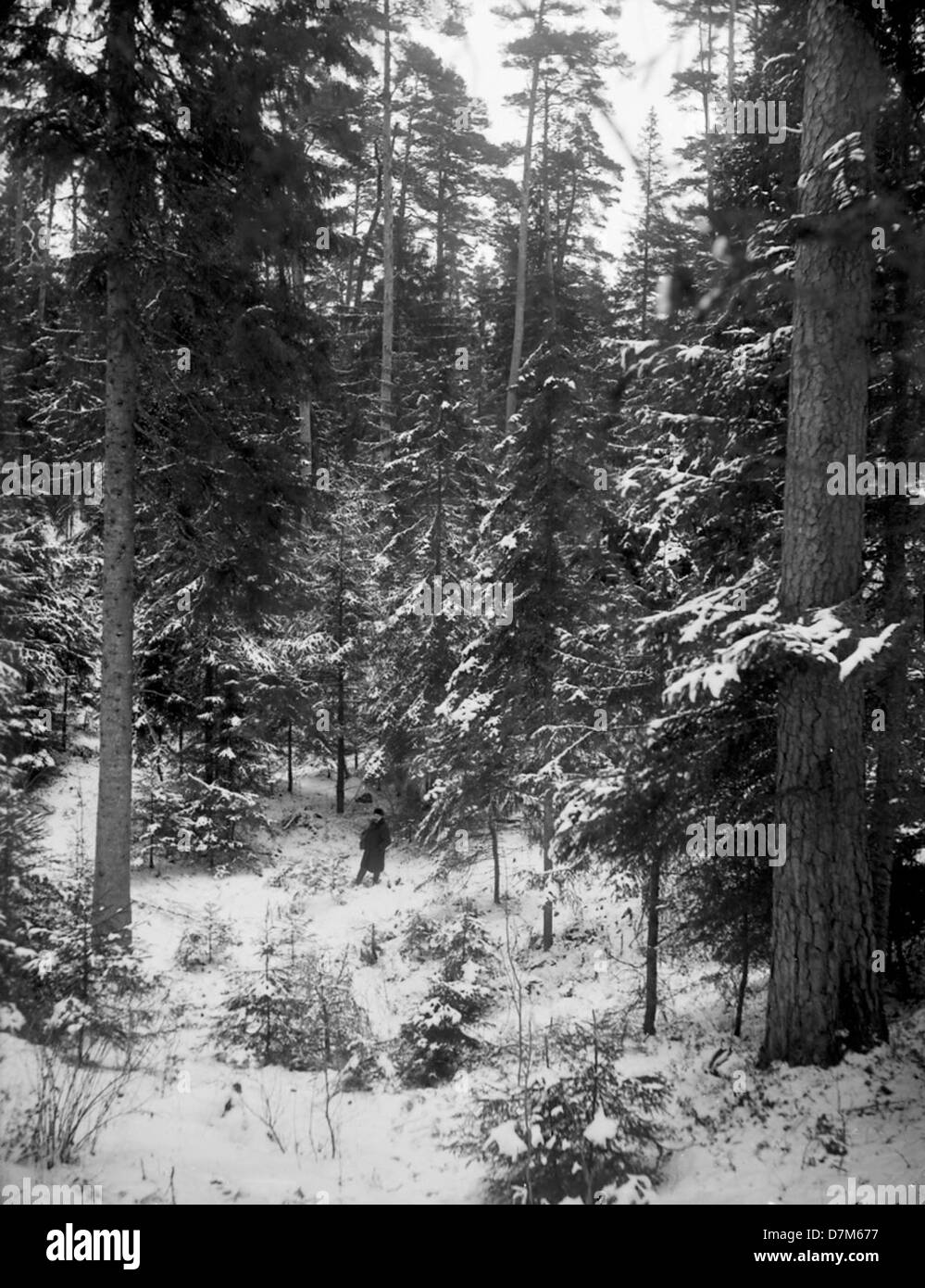 En hiver, l'homme des bois, Stockholm, Suède Banque D'Images