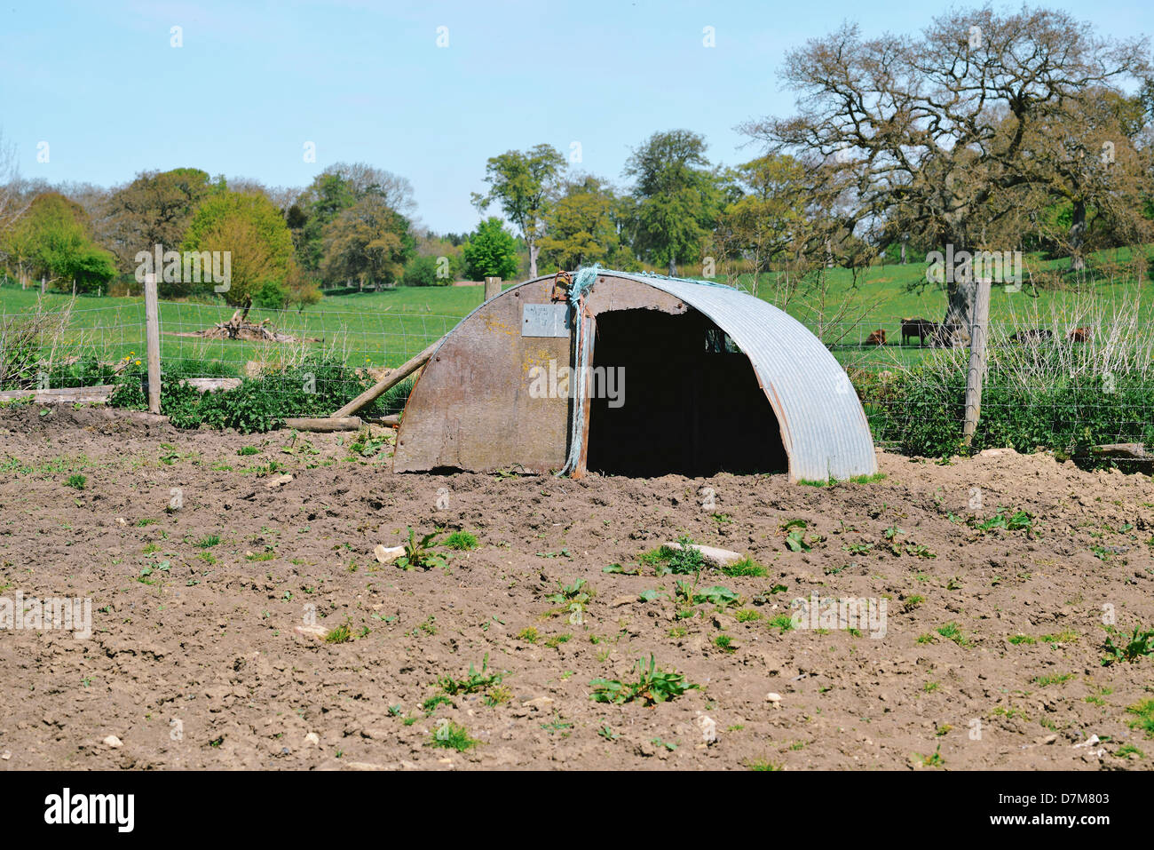 STY PORC ORGANIQUE DANS LE WILTSHIRE EN ANGLETERRE Banque D'Images