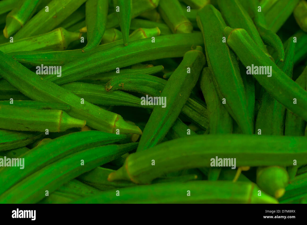 Matières premières fraîches Lady Finger Vert Okra Banque D'Images